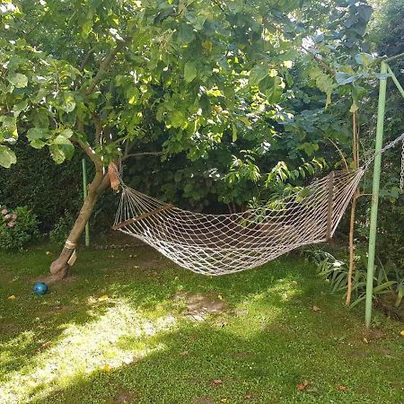 Rest House Truskawiec Zewnętrze zdjęcie